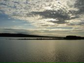 Анна Журавлёва фотография #11 (источник - https://vk.com/id461369)