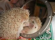 Фотография Волковой Ольги