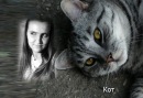 Фотография Сосненко Марины