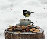 Фотография Васюковой Анны