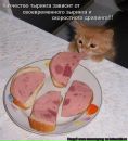 Дмитрий Сидоров фотография #31 (источник - https://vk.com/id2388749)