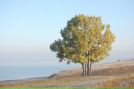 Михаил Яковлев фотография #15 (источник - https://vk.com/id2403530)