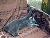 Фотография Ovcharenko Nelly