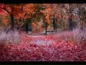 Фотография Рзаевой Земфиры