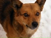 Леся Білик фотография #4 (источник - https://vk.com/id159234105)