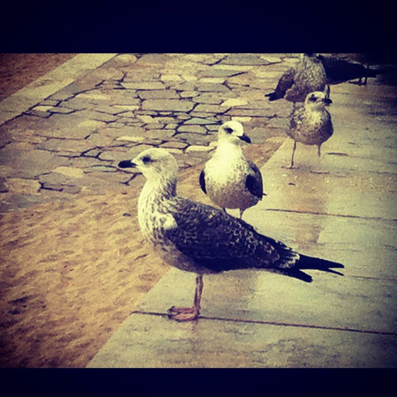 Милена Бабаян фотография #7