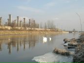 Міша Височан фотография #11 (источник - https://vk.com/id74563092)