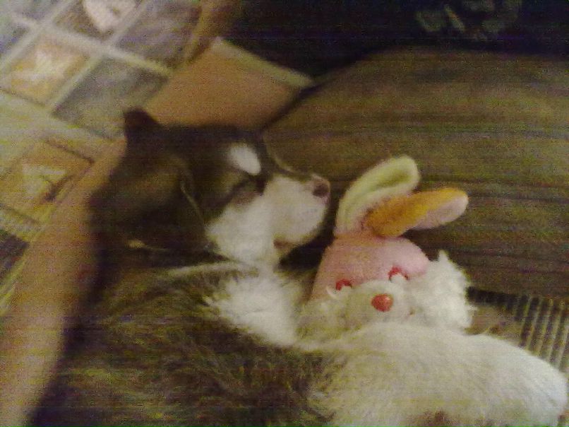 Александр Автаев фотография #6