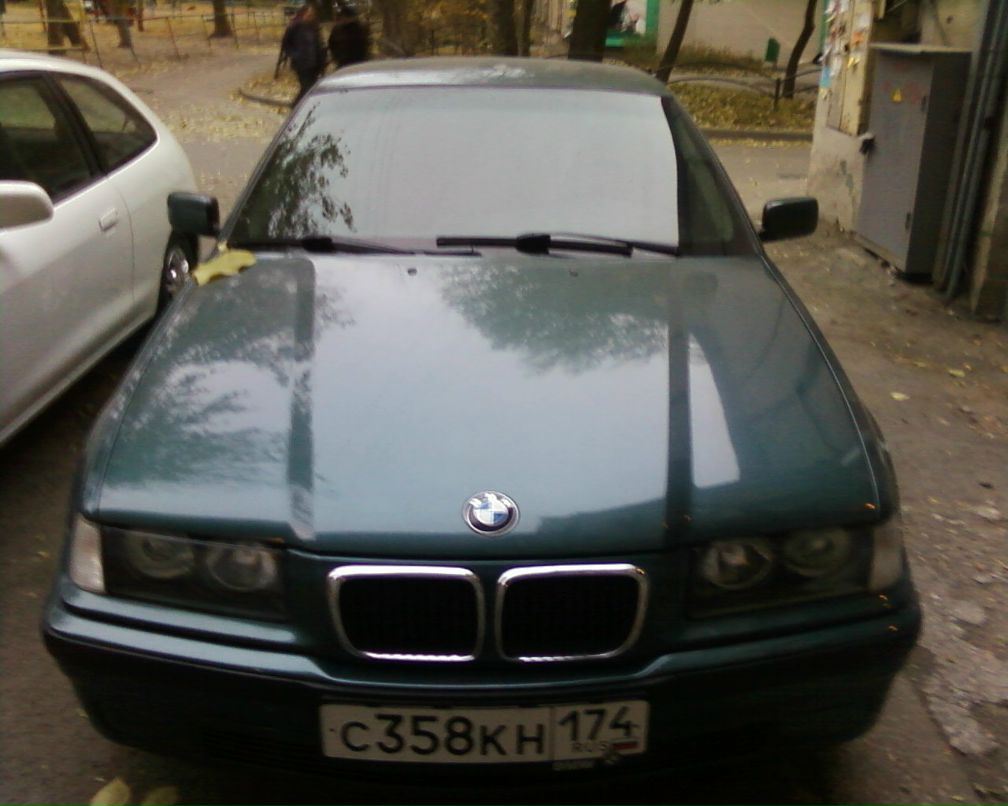 Дмитрий Чехлов фотография #16