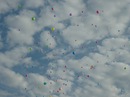 Фотография Гатиной Ландыш