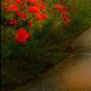 Марічка Билинь фотография #18 (источник - https://vk.com/id13386712)