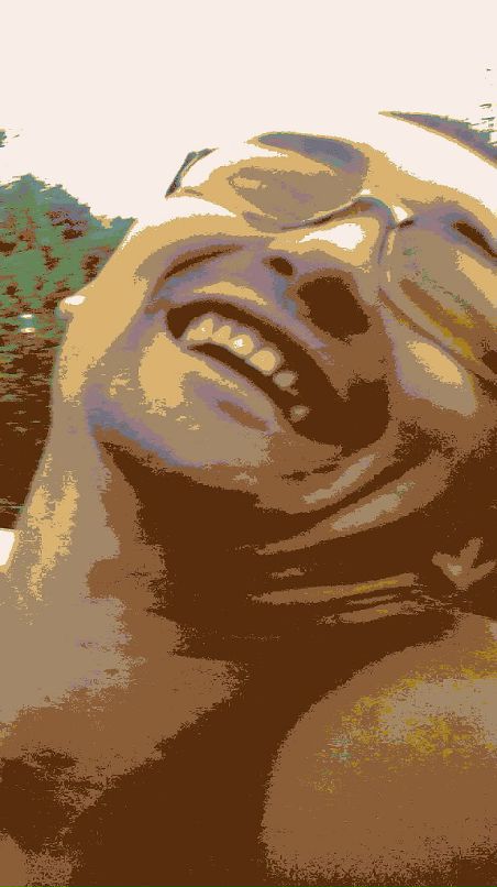 Дима Ощепков фотография #48