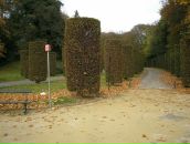 Віталій Гаврилиця фотография #23 (источник - https://vk.com/id26587323)