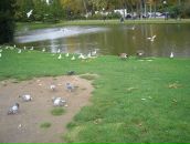 Віталій Гаврилиця фотография #30 (источник - https://vk.com/id26587323)