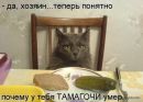 Алина Кот фотография #48 (источник - https://vk.com/id158597309)