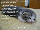 Фотография Колокольцева Григория