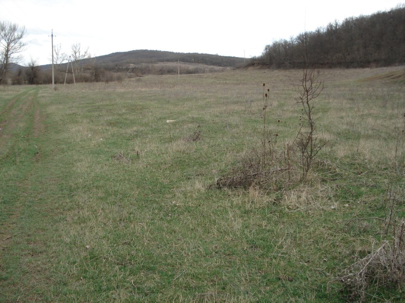 Кащеев Серега фотография #29