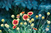 Павел Волк фотография #9 (источник - https://vk.com/id470503)