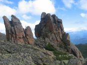 Фотография Ольга Кузнецова