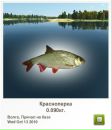 Віталік Бєлих фотография #29 (источник - https://vk.com/id100579576)