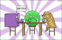 Фотография Волкова Катя