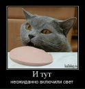 Сергій Рибак фотография #37 (источник - https://vk.com/id45780929)