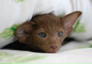 Фотография Ягодкиной Светланы