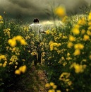 Андрій Андреєв фотография #29 (источник - https://vk.com/id27913816)