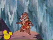 Фотография Ярославцева Алёна