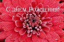 Ігор Лабяк фотография #10 (источник - https://vk.com/id10968602)