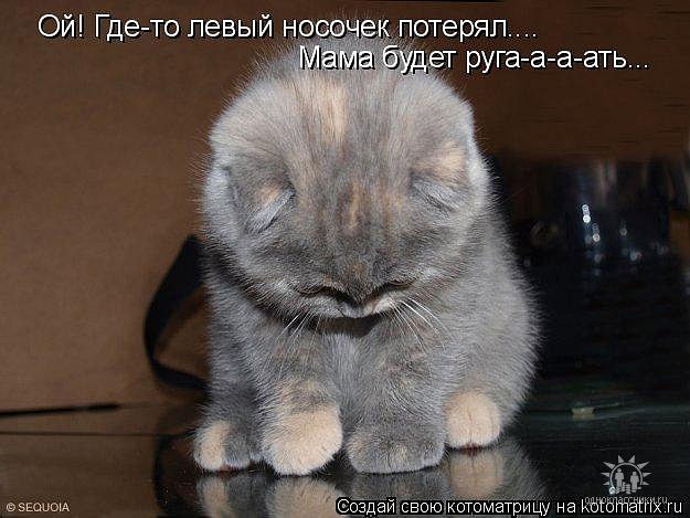 Е Лена фотография #9