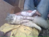 Фотография Мастерова Артема