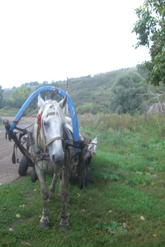 Лина Ли фотография #43