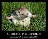 Фотография Нуриева Рената