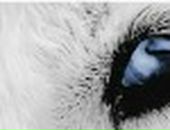 Иван Опарин фотография #50 (источник - https://vk.com/id200144)