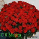 Саня Быков фотография #33 (источник - https://vk.com/id44723564)