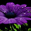 Юлічка Пасічник фотография #39 (источник - https://vk.com/id122087232)