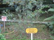 Фотография Филипьева Дмитрия