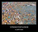 Дмитрий Исаков фотография #36 (источник - https://vk.com/id2902710)