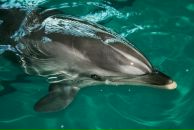 Фотография Даниловой Елены