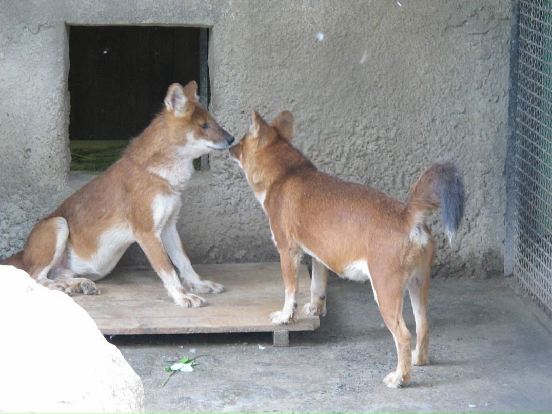 Маруся Горина фотография #44