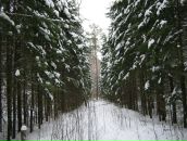 Фотография Пискуновой Людмилы