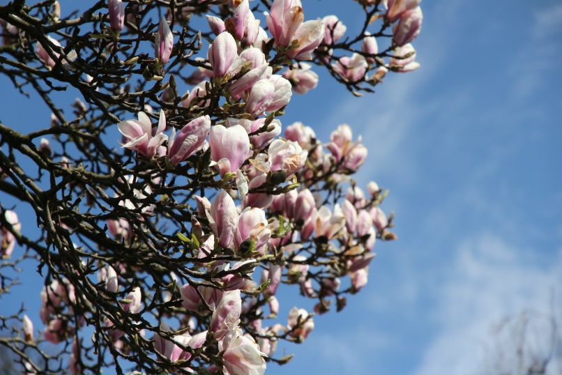 Оля Бруй фотография #19