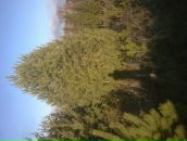 Міша Ярошевський фотография #24 (источник - https://vk.com/id69833166)