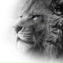 Фотография Тевосян Ольги