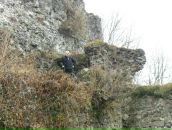 Міша Шкромида фотография #22 (источник - https://vk.com/id65454532)