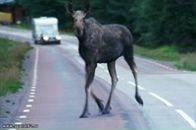 Родина Ващуків фотография #3 (источник - https://vk.com/id104412510)