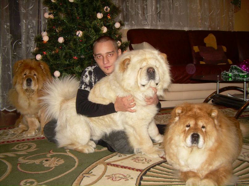 Виктор Матвеев фотография #50