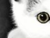 Вітуся Бейко фотография #20 (источник - https://vk.com/id67748452)