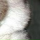 Міша Канафеев фотография #9 (источник - https://vk.com/id51463416)